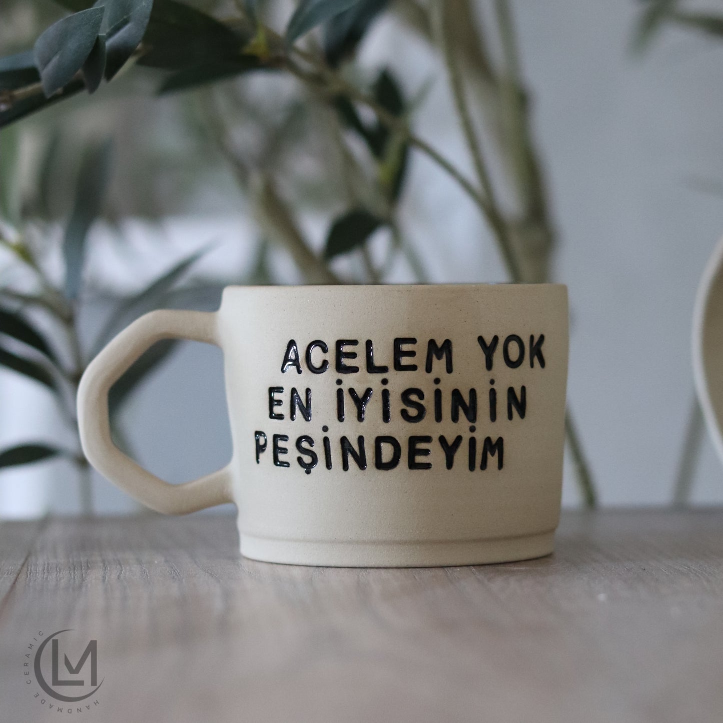 Motto Tasse „acelem yok en iyisinin pesindeyim“